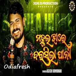 Mahula Jhare Barasila Pani